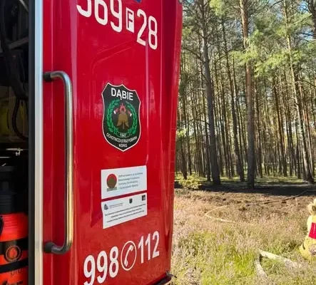 Pożar lasu w Bobrowicach – strażacy walczyli z ogniem