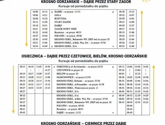 Rusza nowa komunikacja powiatowo-gminna w regionie Krosna Odrzańskiego