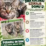 PKS Zielona Góra operatorem przewozów w Krośnieńskim Związku Powiatowo-Gminnym