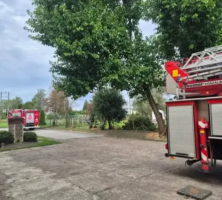 Pochylone drzewo przy szkole w Dąbiu – interwencja strażaków