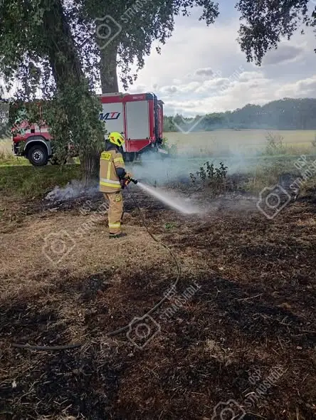 Pożar traw w Węglinach – interweniowali strażacy z OSP Starosiedle