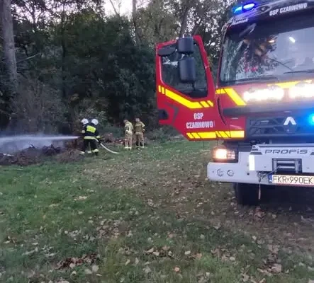 Pożar śmieci przy lesie w Strumiennie. Mieszkańcy gasili ogień wiadrami
