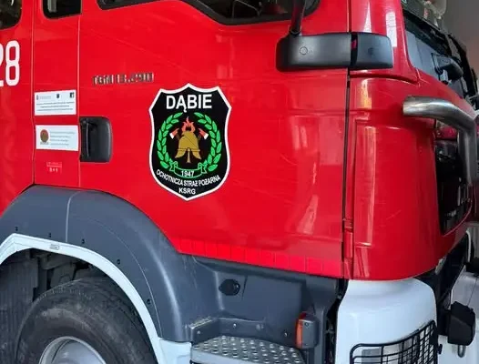 Łagów: strażacy z OSP Dąbie usunęli gniazdo owadów błonkoskrzydłych