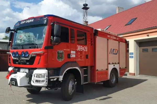 Dąbie: Strażacy ochotnicy usunęli gniazdo owadów błonkoskrzydłych