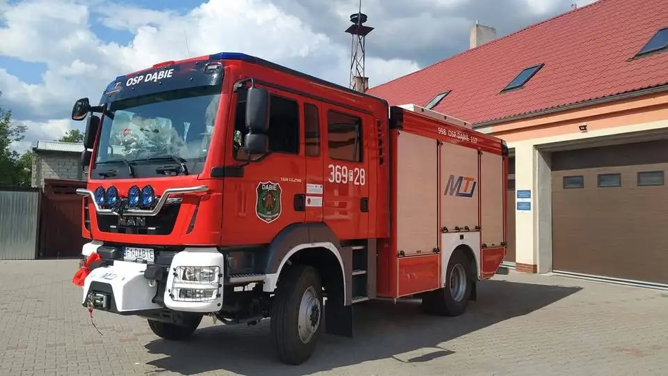 Dąbie: Strażacy ochotnicy usunęli gniazdo owadów błonkoskrzydłych