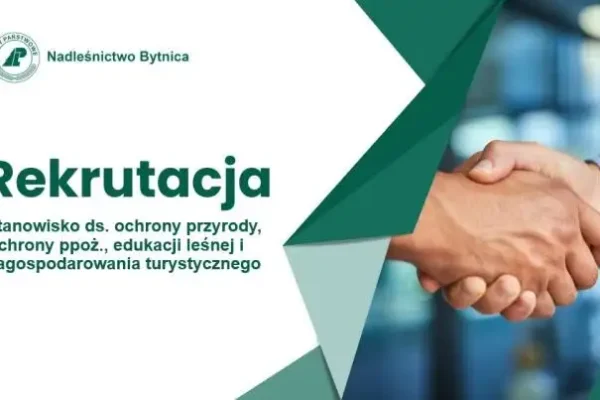 Nadleśnictwo Bytnica szuka specjalisty ds. ochrony przyrody i edukacji leśnej