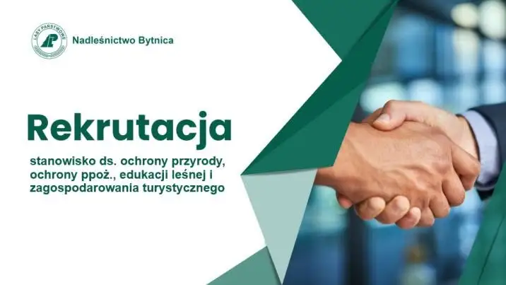 Nadleśnictwo Bytnica szuka specjalisty ds. ochrony przyrody i edukacji leśnej